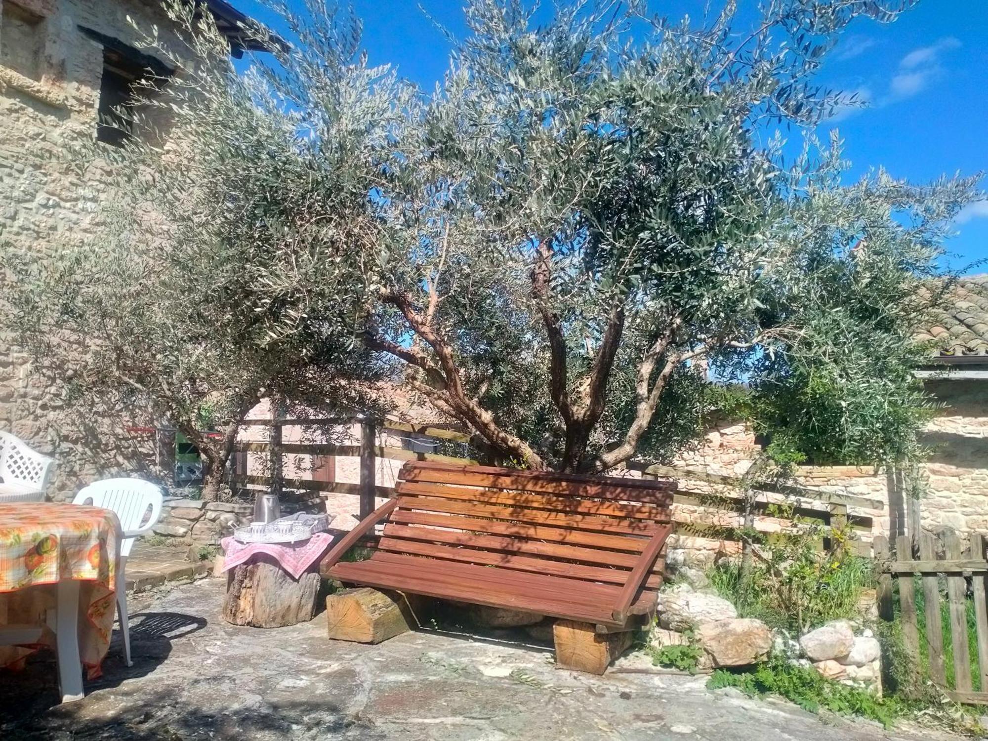 Maison En Pierre Fiastra Habitación foto